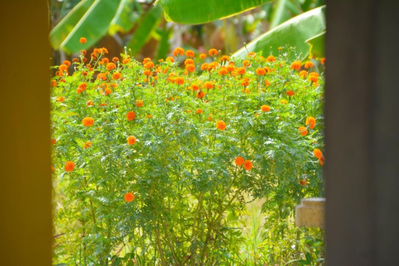 Malee Malee Guesthouse Ko Lanta 外观 照片
